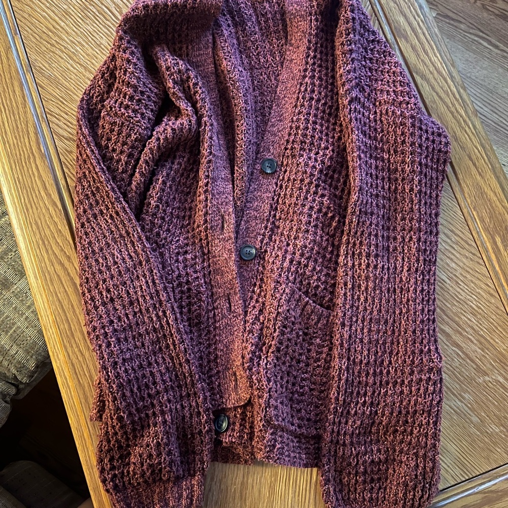 American Eagle Cartigan